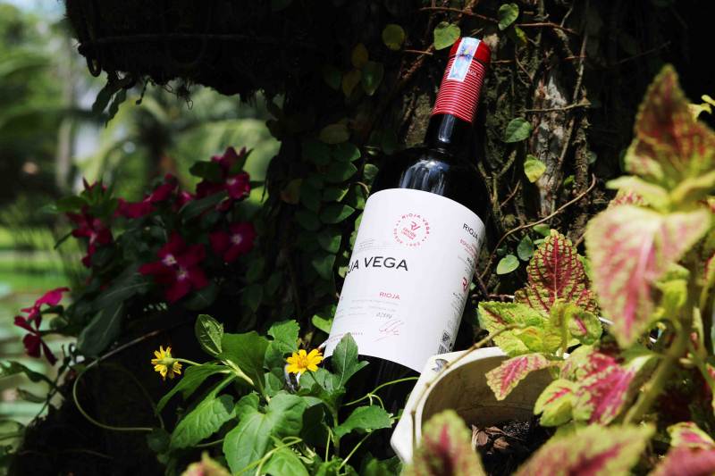 Rượu vang Tây Ban Nha - Rioja Vega Limited