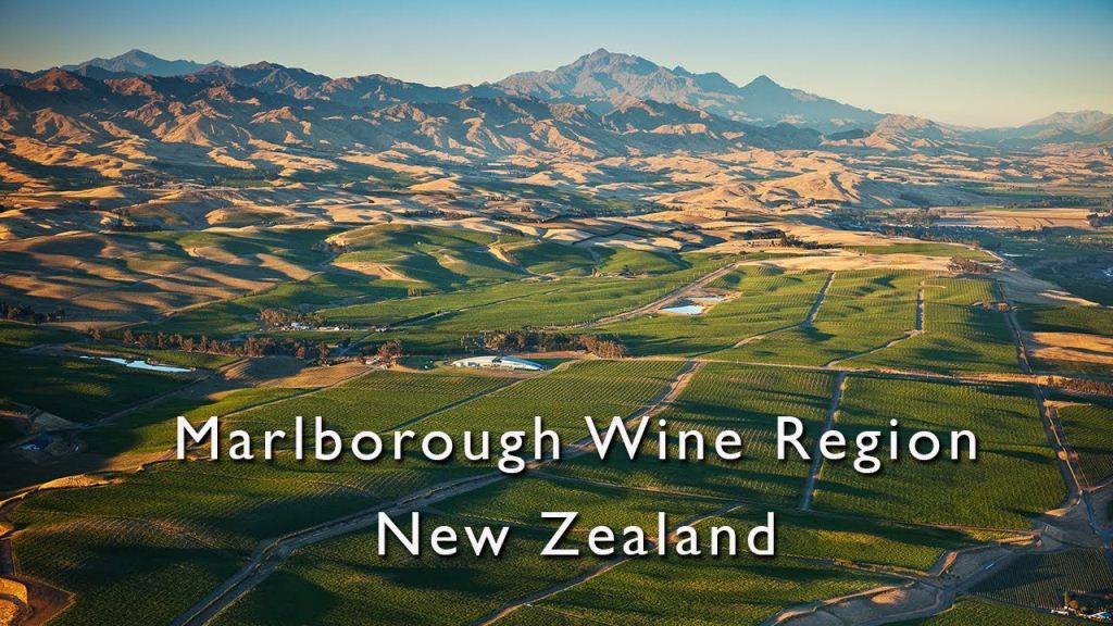 Marlborough-wine-region