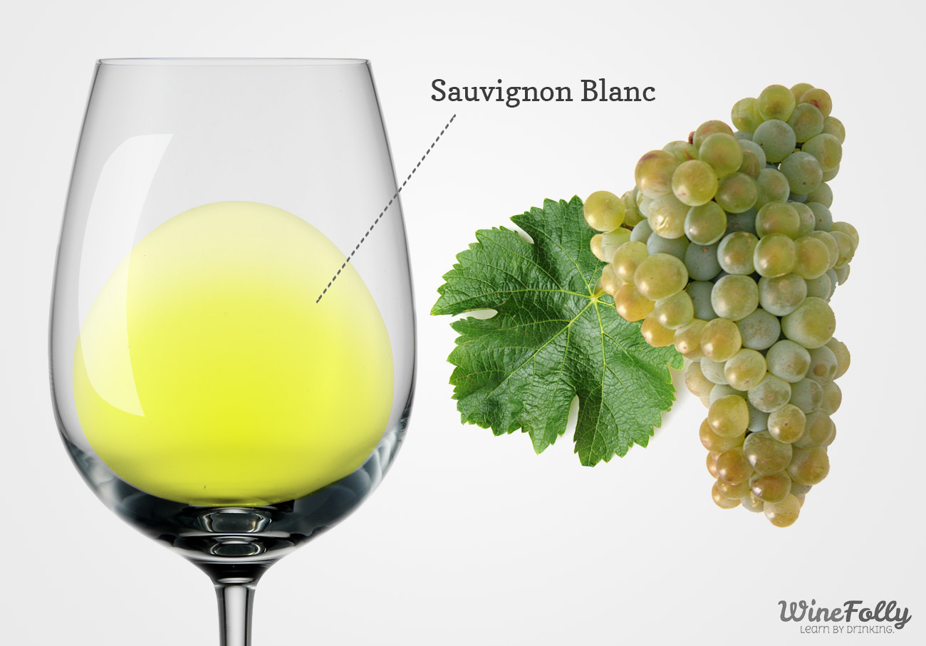 Sauvignon Blanc Grape