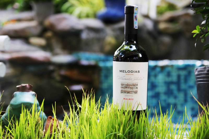 Rượu vang Argentina - Trapiche Melodias Malbec