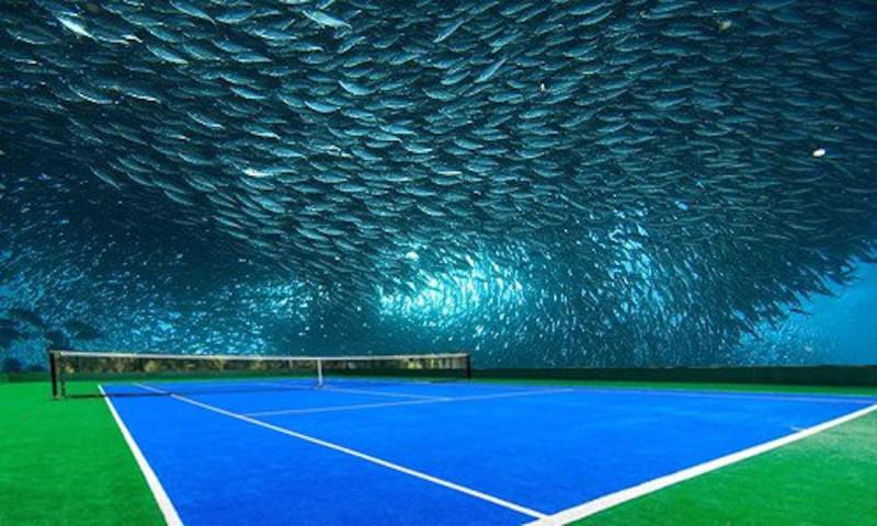 Chơi tennis ở Dubai