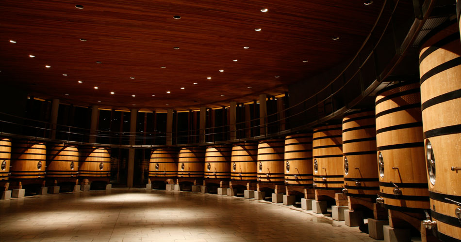 Rượu vang trắng - hầm sản xuất