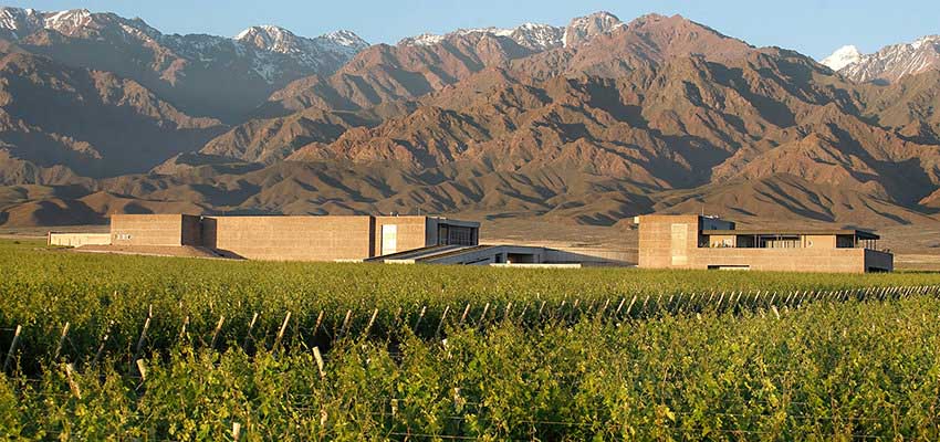 Mendoza winery